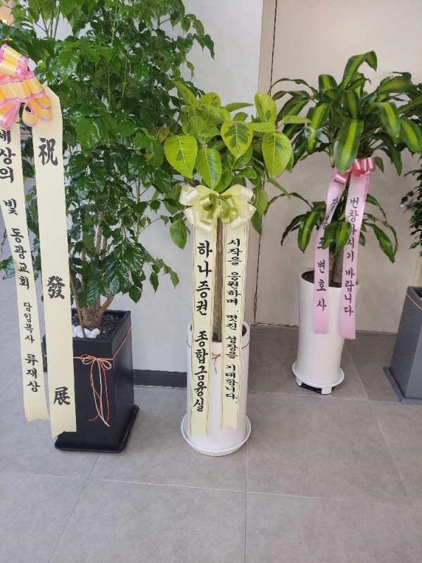 Office & nature �𰥰�������(��) (ȭ�⺯��) �ɹ�� ���� 