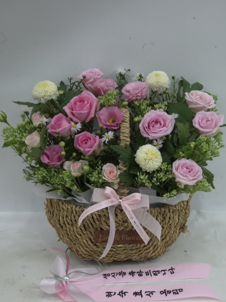 Roseday -   Ұž ɹ  