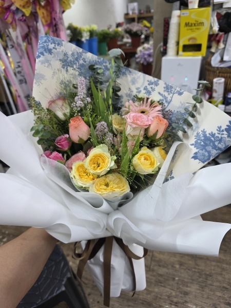 Spring violet -   ޻ ɹ  