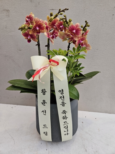 [�޽��� �Ǵ� ��Ȱ����] �ݳ��� (��) �ɹ�� ���� 