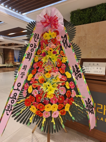 ����3�ܱ⺻ȭȯ �ɹ�� ���� 