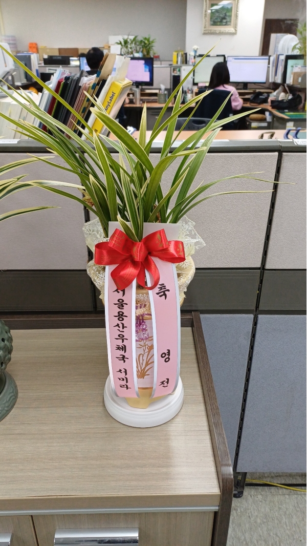 [�λ��̵� ��õ] ���� ���� �Ǿ��ִ� ����� �ɹ�� ���� 