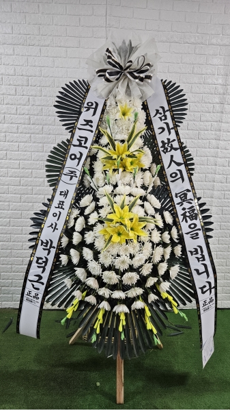 ���� �ֵ��� ���� ����ȭȯ �ɹ�� ���� 