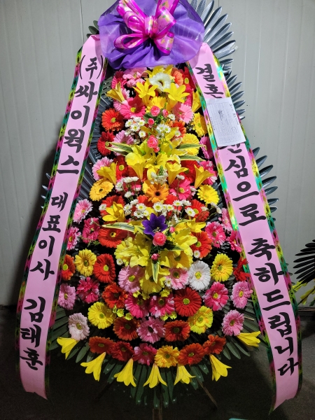 ����3�ܱ⺻ȭȯ �ɹ�� ���� 