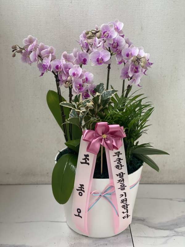 [����]���� �����- Ȳ��� �ɹ�� ���� 