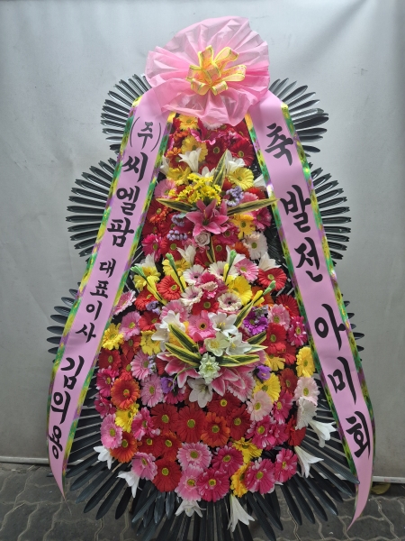 ����3�ܱ⺻ȭȯ �ɹ�� ���� 