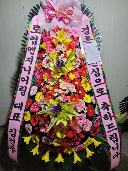 ����3�ܱ⺻ȭȯ �ɹ�� ���� 