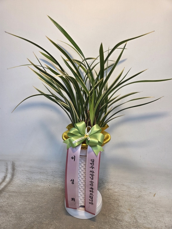 [�λ��̵� ��õ] ���� ���� �Ǿ��ִ� ����� �ɹ�� ���� 