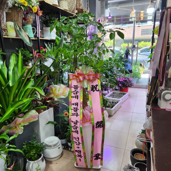  õ -  캸A ɹ  