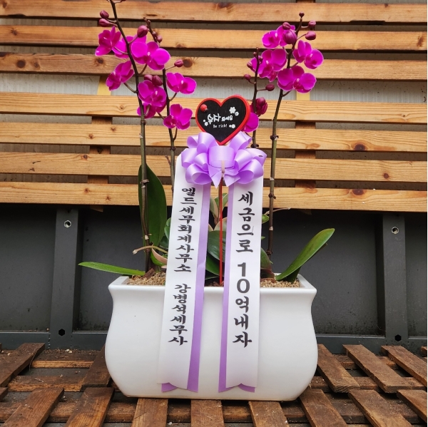 ������ ���� ���� -����ũȣ�� (��) �ɹ�� ���� 