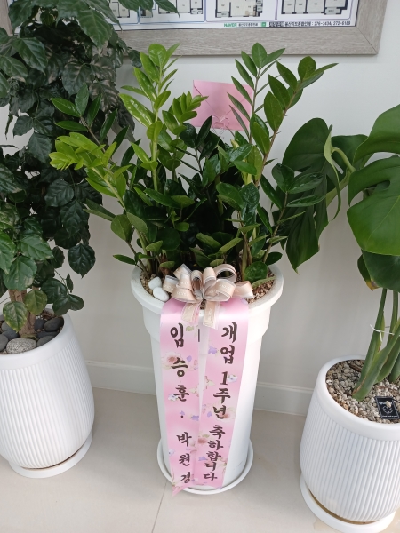 �������� ������õ - �̱׷��� ������ C �ɹ�� ���� 