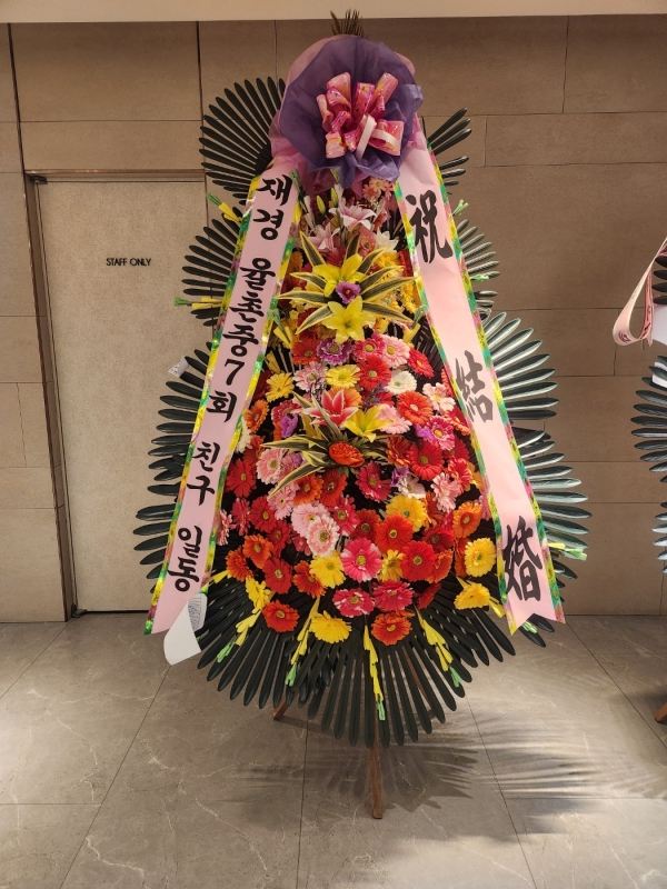 ������ ���� ����3��ȭȯ �ɹ�� ���� 