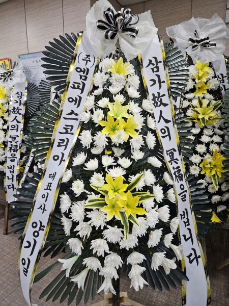 ô  ǰ! - ö119 3ܱ⺻ȭȯ  (Ʈ) ɹ  