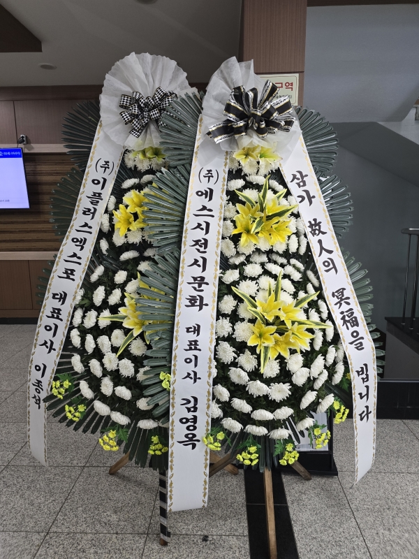 ô  ǰ! - ö119 3ܱ⺻ȭȯ  (Ʈ) ɹ  