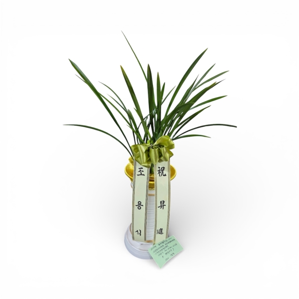 [�λ��̵� ��õ] �Ͼ���� �Ǿ�� ���� ����� �ɹ�� ���� 