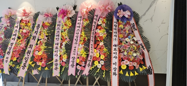 ����3�ܱ⺻ȭȯ �ɹ�� ���� 