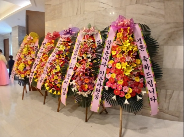 ����3�ܱ⺻ȭȯ �ɹ�� ���� 