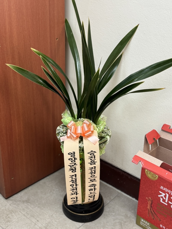 [�λ��̵� ��õ] �Ͼ���� �Ǿ�� ���� ����� �ɹ�� ���� 