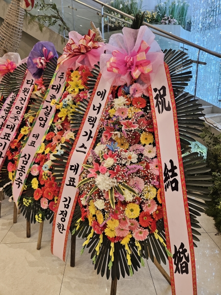 ����3�ܱ⺻ȭȯ �ɹ�� ���� 