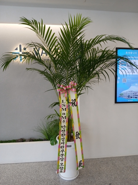 Office & Nature �Ʒ�ī���� (Ư��) �ɹ�� ���� 