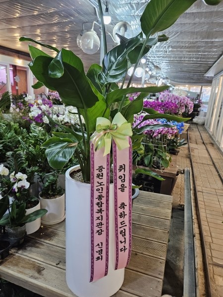 Office & Nature -  ������ �Ƹ���� ������ (ȭ�Ⱑ ����� �� �ֽ��ϴ�.) �ɹ�� ���� 