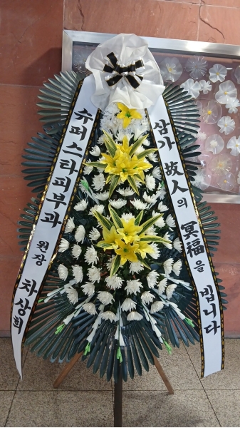 �����ô� ���� ǰ��! - �ö��119 ����3�ܱ⺻ȭȯ  (�������Ʈ) �ɹ�� ���� 