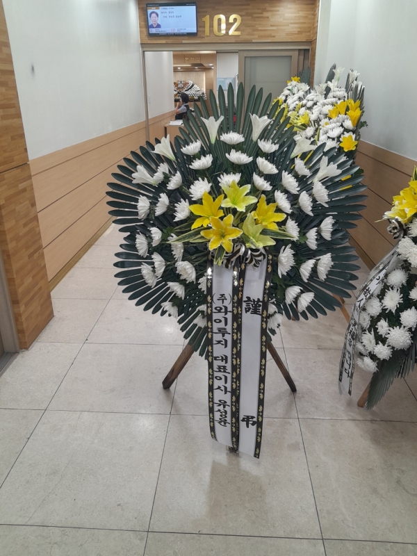 ô  ǰ! - ö119 3ܱ⺻ȭȯ  (Ʈ) ɹ  