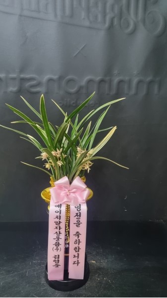 [λ̵ õ]   Ǿִ  ɹ  