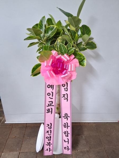 Office & nature 𰥰() (ȭ⺯) ɹ  