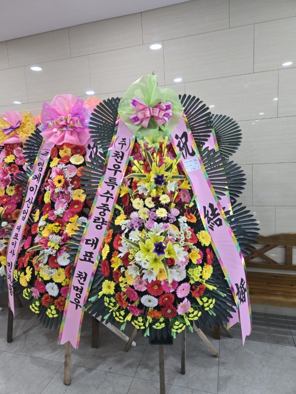 ȥ 3ȭȯ - (3 ⺻)λ  ο.... ɹ  