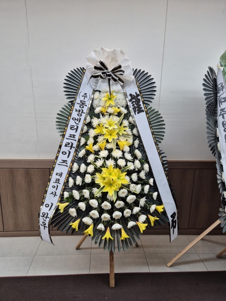 ���� �ֵ��� ���� ����ȭȯ �ɹ�� ���� 