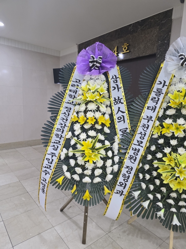 ���� �ֵ��� ���� ����ȭȯ �ɹ�� ���� 