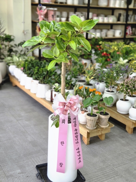 ������õ �������� - ���� �𰥰������� �ɹ�� ���� 