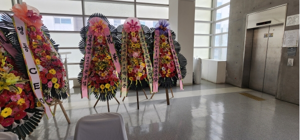 ����3�ܱ⺻ȭȯ �ɹ�� ���� 