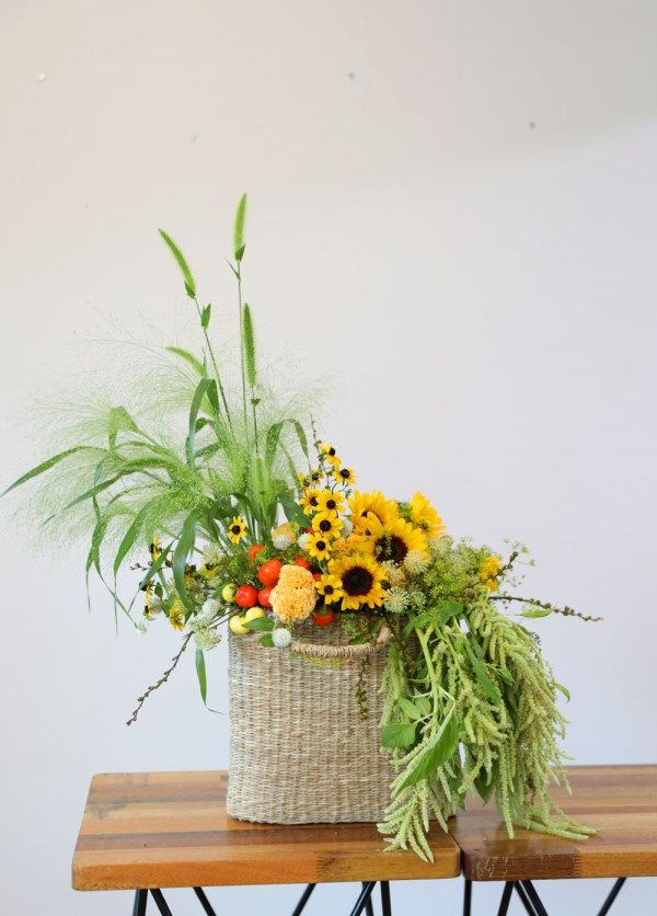 [] Celebrate Fall -  Ƹٿ  ɹ  