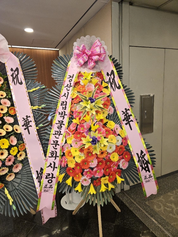 ������ ���� ����3��ȭȯ �ɹ�� ���� 