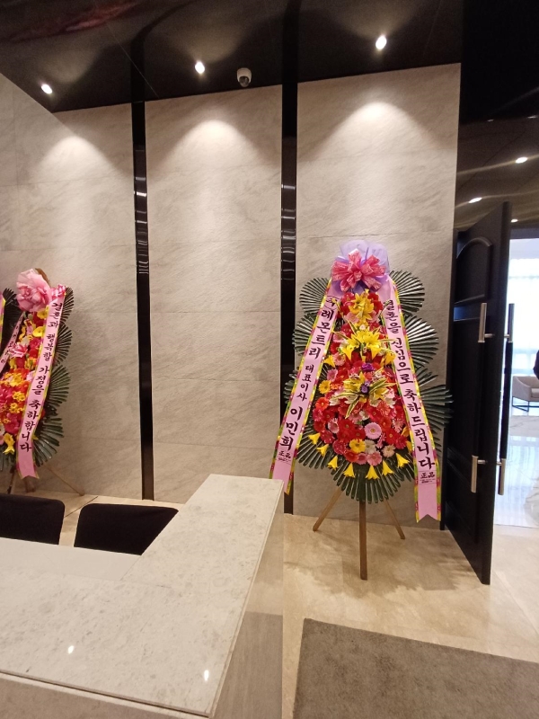 ������ ���� ����3��ȭȯ �ɹ�� ���� 