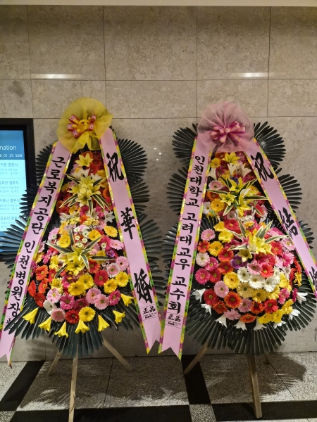 ������ ���� ����3��ȭȯ �ɹ�� ���� 