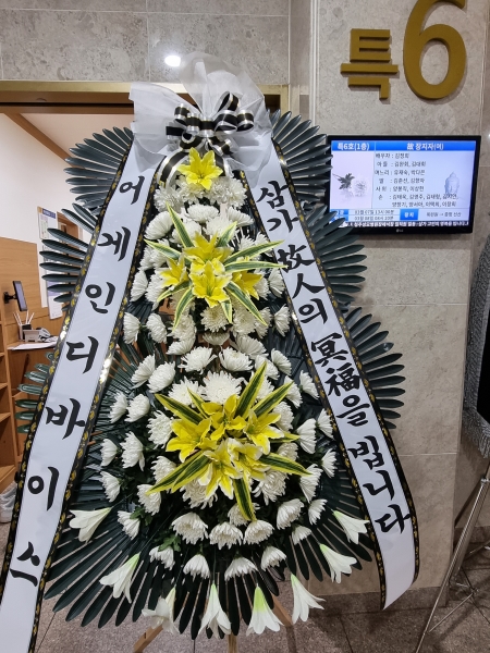 ���� �ֵ��� ���� ����ȭȯ �ɹ�� ���� 