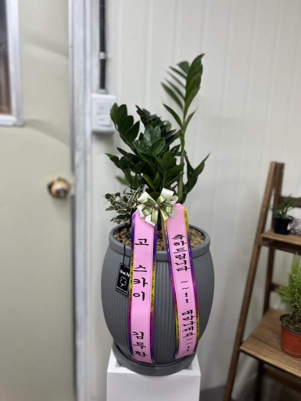 �������� ������õ - �̱׷��� ������ C �ɹ�� ���� 