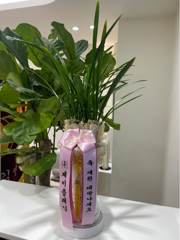 [�λ��̵� ��õ] ���� ���� �Ǿ��ִ� ����� �ɹ�� ���� 