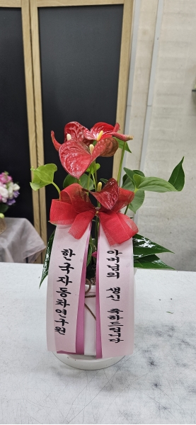 []Table deco. ׸ȭ Ƚ (* ȭ ) ɹ  