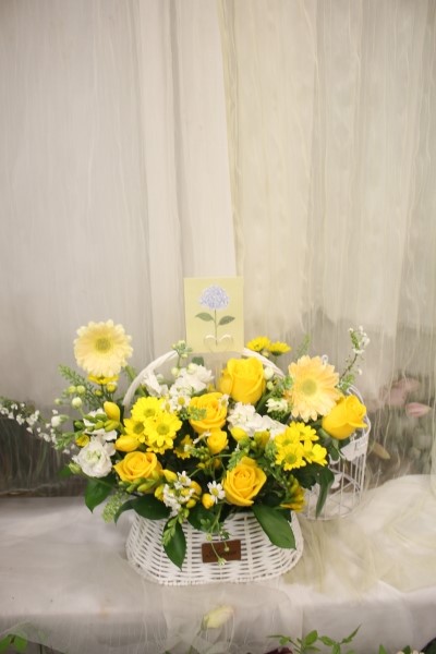 Spring & sweet ���̿� �ɹ�� ���� 