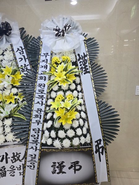 ������ ���� ���� 3�� ȭȯ �ɹ�� ���� 