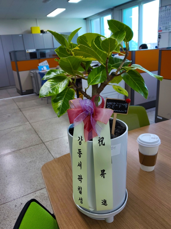[����]Indoor garden �𰥰�������(��) (ȭ�⺯��) �ɹ�� ���� 