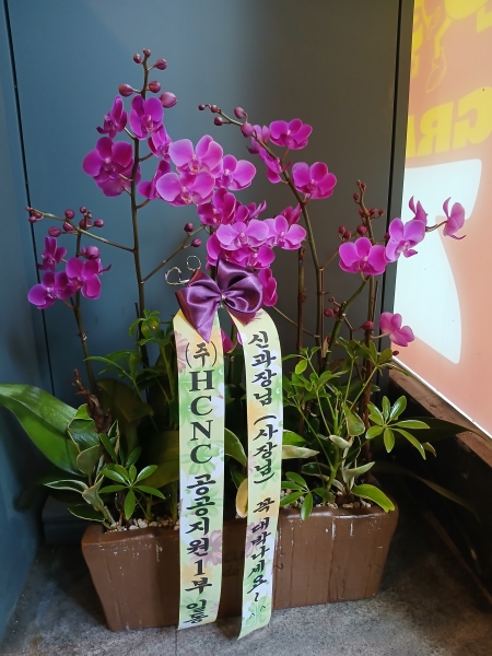 []Ȱ ȭϰ - õȫ ()(ȭ⺯) ɹ  