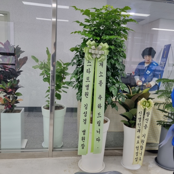 [ȭ�а�����õ] ����Ʈ�� ƯƯ�� �ɹ�� ���� 