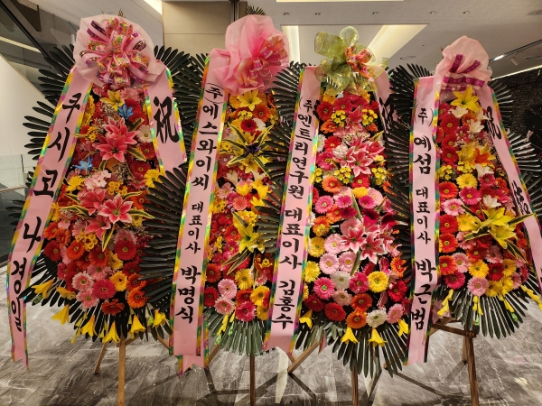 ȥ 3ȭȯ - (3 ⺻)λ  ο.... ɹ  