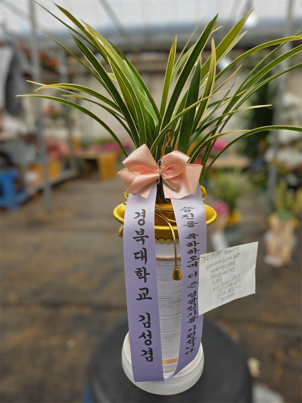 ö��ҽ� �ɹ�� ���� 