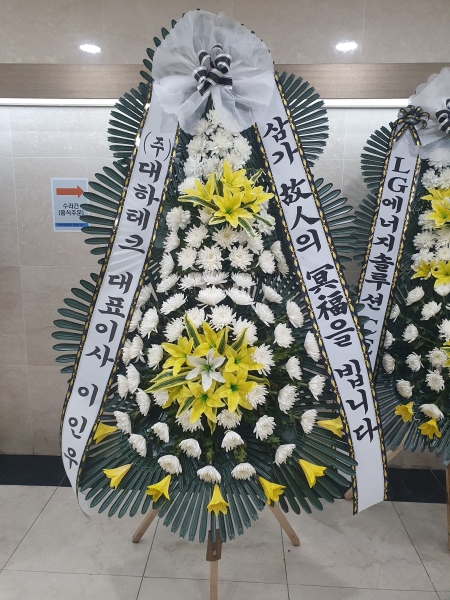 ���� �ֵ��� ���� ����ȭȯ �ɹ�� ���� 